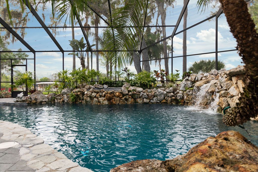 Pool and lanai